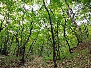 皇藏峪国家森林公园