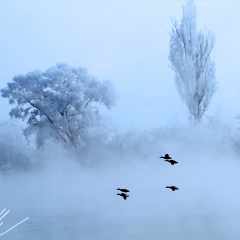 鸭绿江冬韵_9105