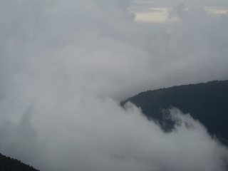 神农架神农顶风景区