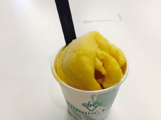 Shining Kiss 闪耀之吻意大利冰淇淋(万达店)