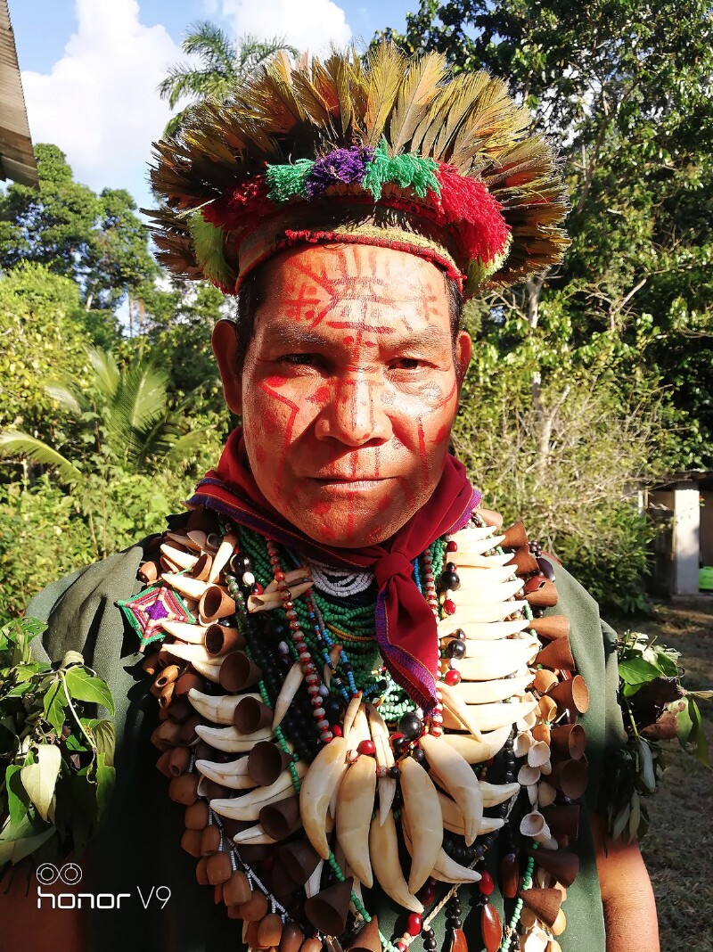 飞跃亚马逊:供灵魂呼吸的地方 漫漫长河丛林中的生灵嬉戏