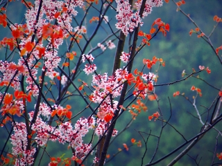 云阳龙缸国家地质公园