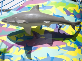 香港海洋公园海洋馆