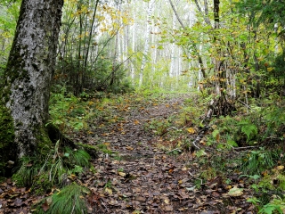 五营国家森林公园