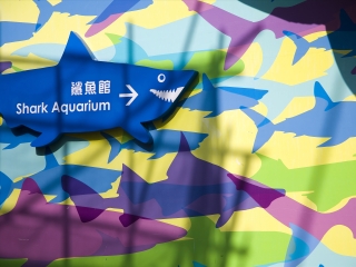 香港海洋公园海洋馆