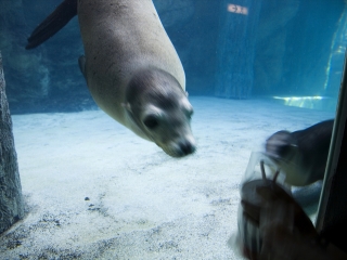 香港海洋公园海洋馆