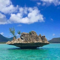 毛里求斯