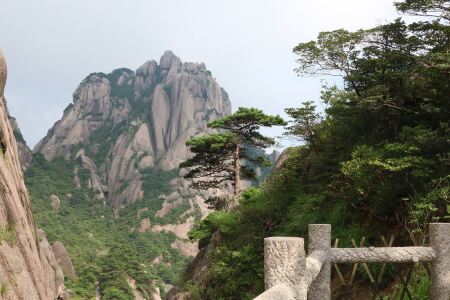 【黄山临溪一楼住宿】地址:市汤口镇沿溪东街 – 途牛