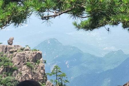 【黄山临溪一楼住宿】地址:市汤口镇沿溪东街 – 途牛