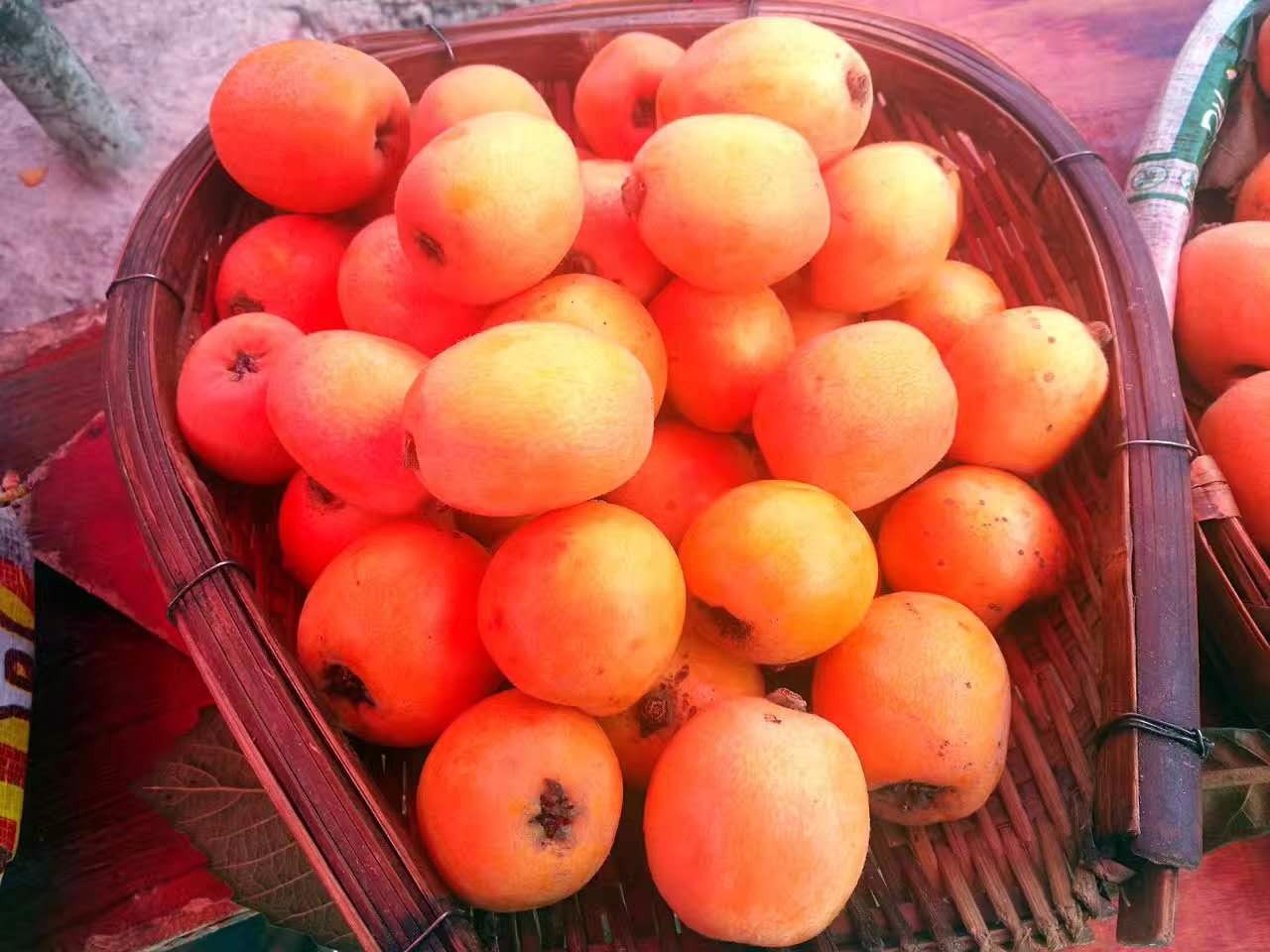 汶川这座当年的地震中心,已完全变了一座新城,汶川 的水果好多 ,大