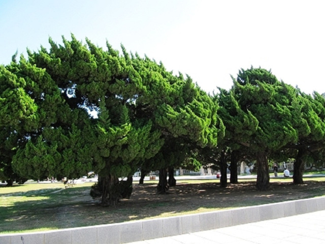  大连旅顺-市内夜景1日游>品军港之城,欣赏大连夜景,0购物0自费
