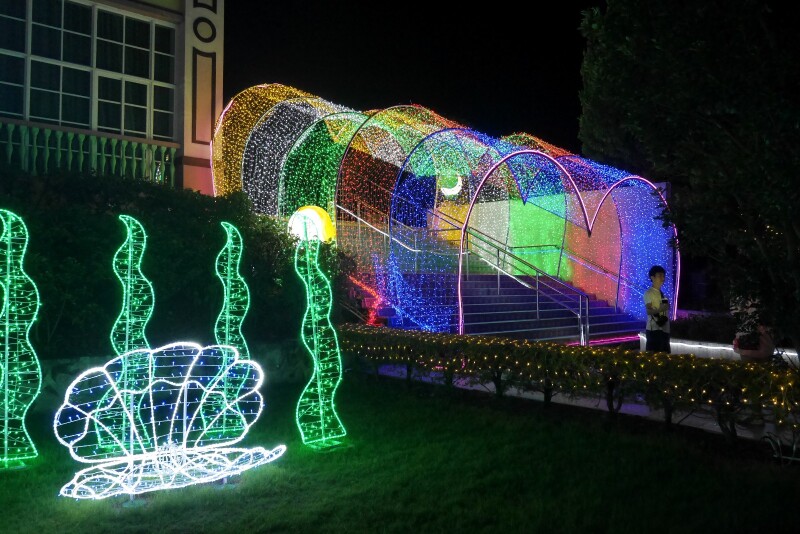 【首发】百万葵园花之恋,省心度暑嗨翻天