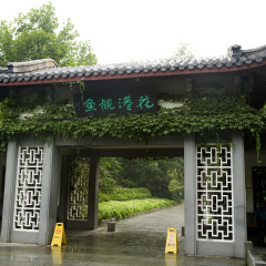 花港观鱼