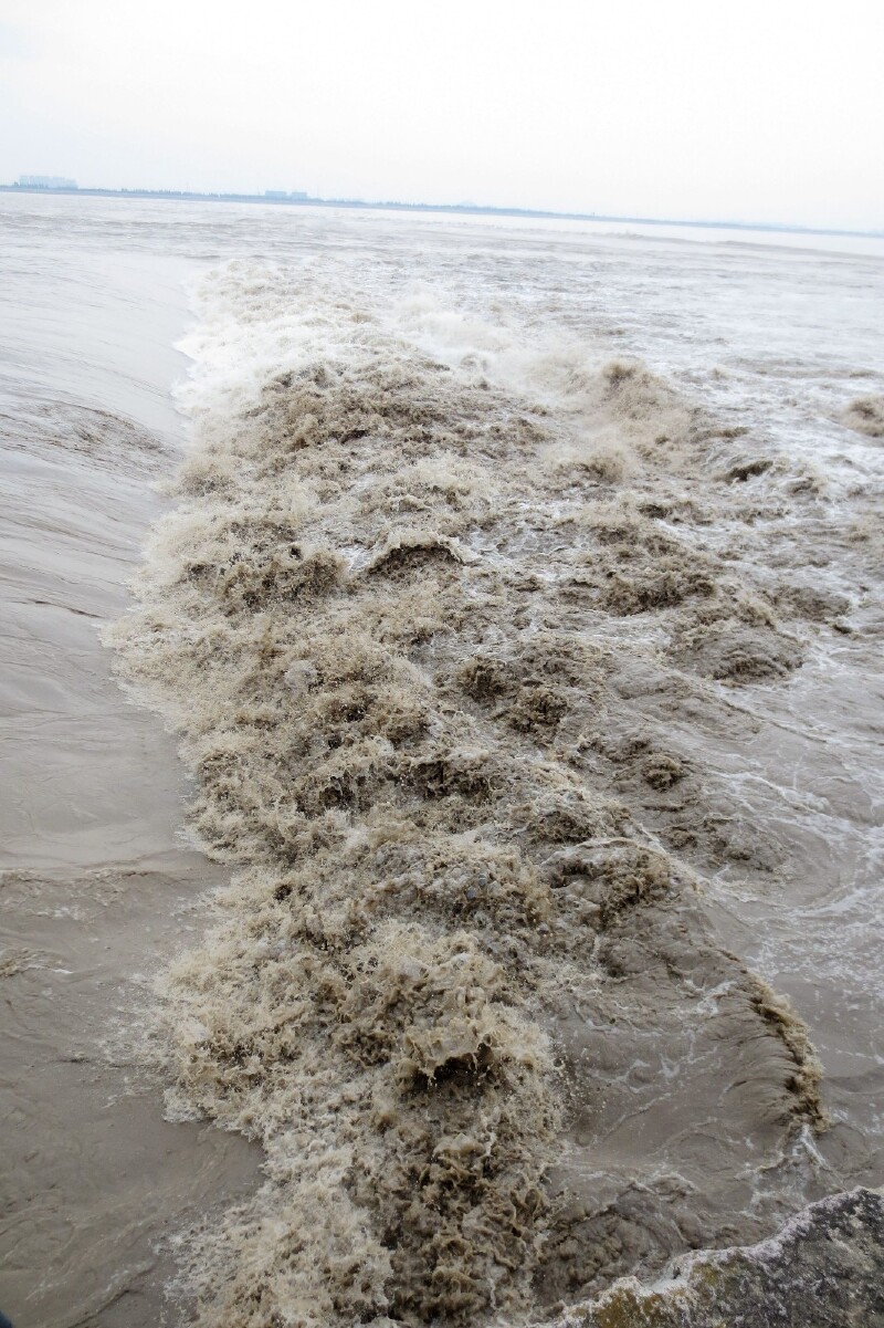 【订单游记】海宁追追追潮心仪雷迪森钱江君廷