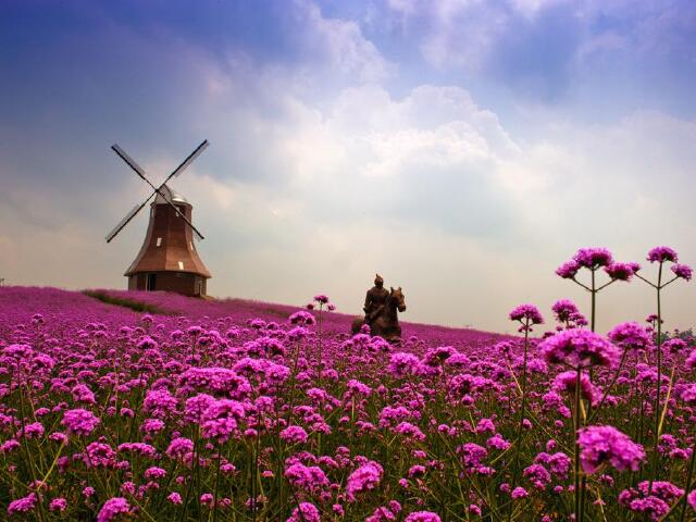 德法瑞意+铁力士+冰川飞渡+新天鹅堡+自由巴