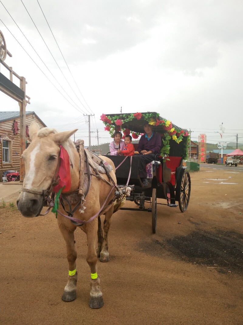 恩和俄罗斯民族乡                      小乡村里带游客观光的马车