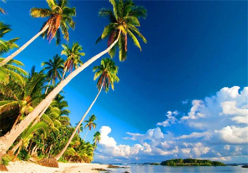 巴厘岛4晚5或6日自助游 冰点特价 直飞往返 全