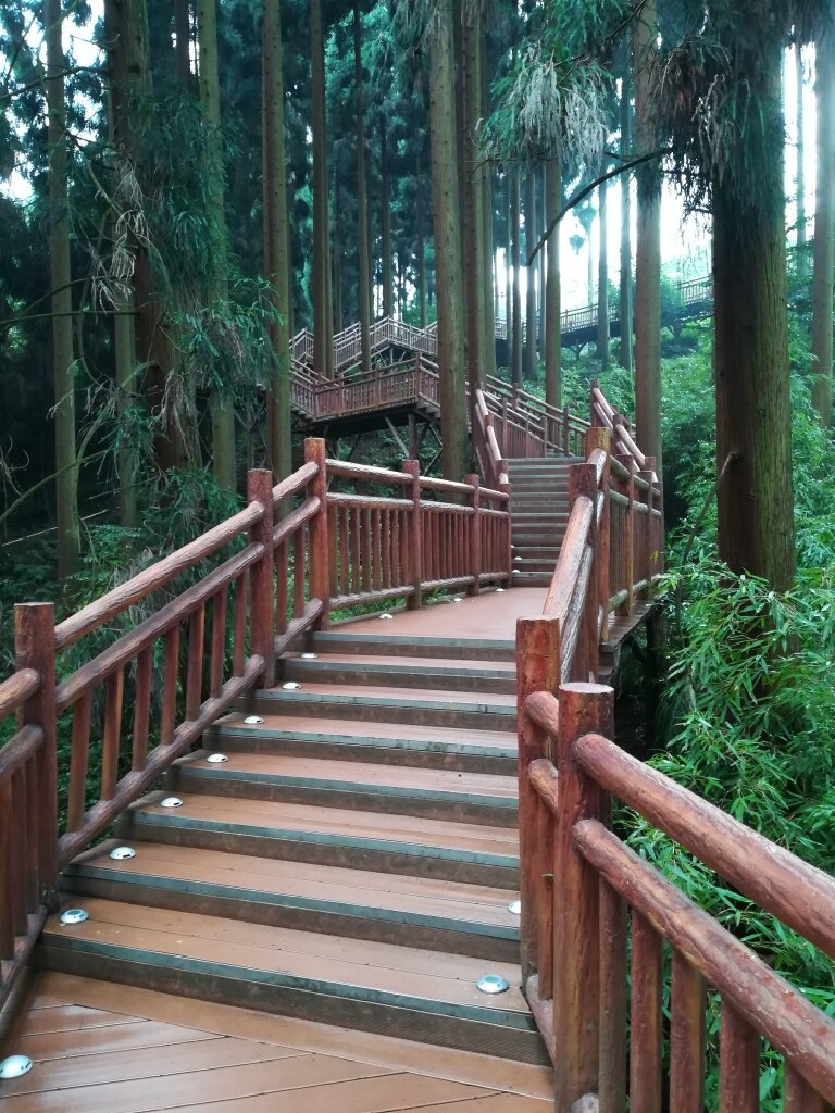 峨眉山七里坪温泉酒店