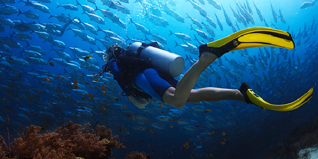 越南旅游 芽庄黑岛木岛潜水半日游 深潜浮潜一日游中文教练 市区酒店接送