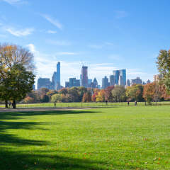 The Great lawn in Central park is the most iconic gathering spot of the whole park where high scale concerts and events take place