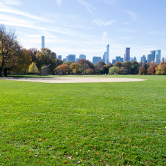 The Great lawn in Central park is the most iconic gathering spot of the whole park where high scale concerts and events take place