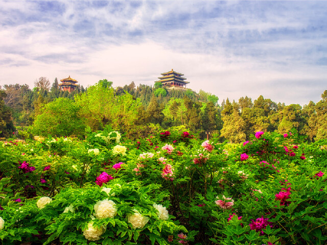 公主坟gdp_公主坟的真正的图片