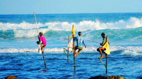 斯里兰卡6晚8日游 肉桂酒店,双火车,5晚五星酒