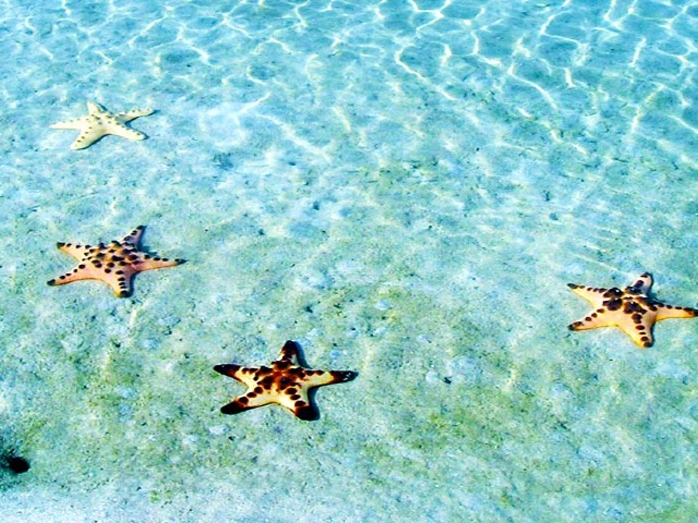 菲律宾长滩岛6-7日自由行 北京直飞 仅一站购物