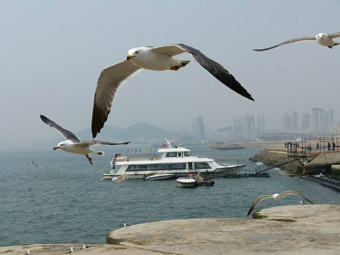 【首发】图说星海广场