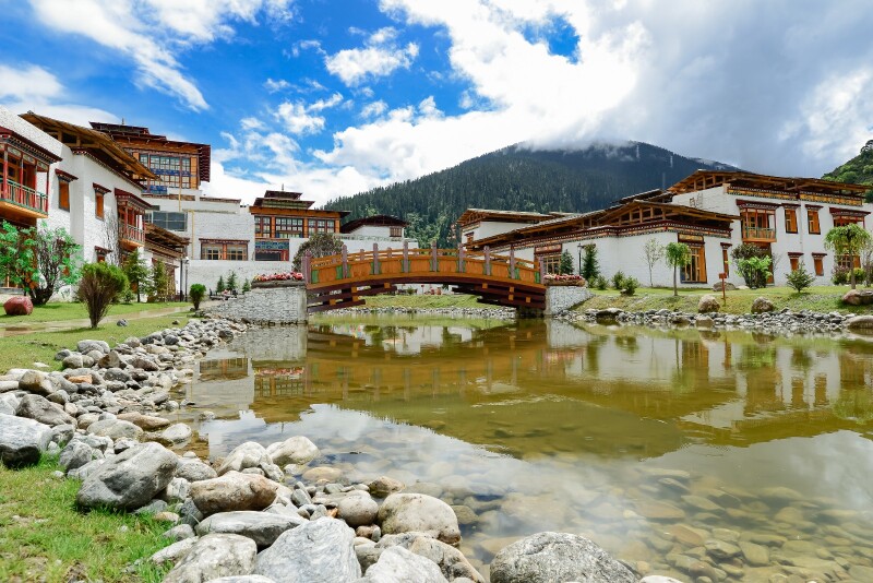 带着挖财去旅行#穿过林芝的雾,在鲁朗静静发呆