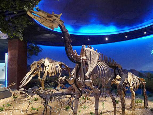 大别山地质博物馆