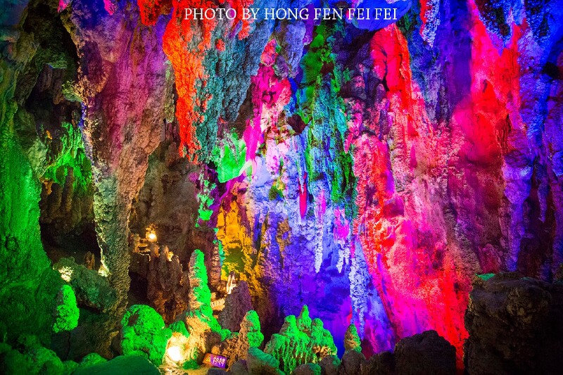 带着挖财去旅行#梦幻龙宫自在田园,世界最大植物汉字景观