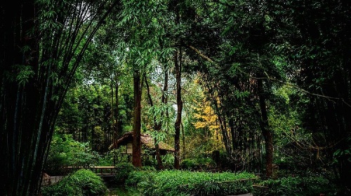 【晚出发+0购物】成都市区精华1日游(武侯祠+