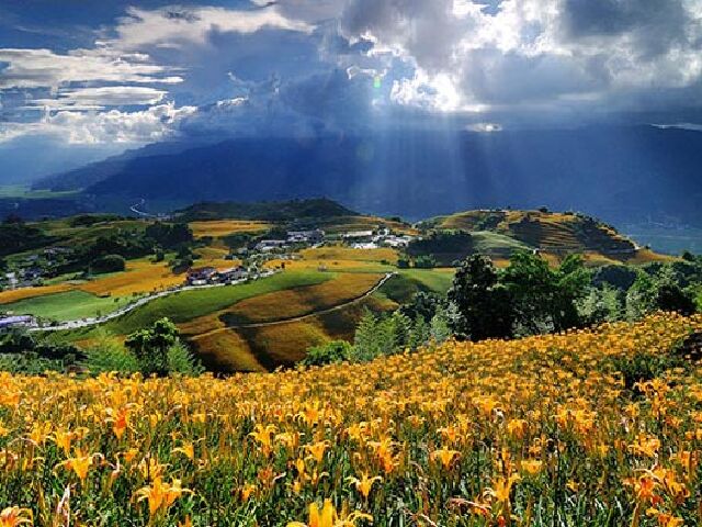 晚8日游 阿里山蒸汽火车+五花住宿+特色餐食+