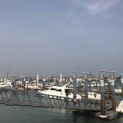 日照世帆赛基地
