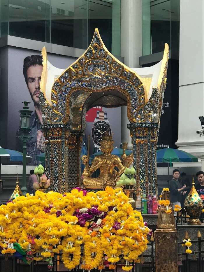 佛教文化 热带海岛—2017年夏泰国9天7晚游