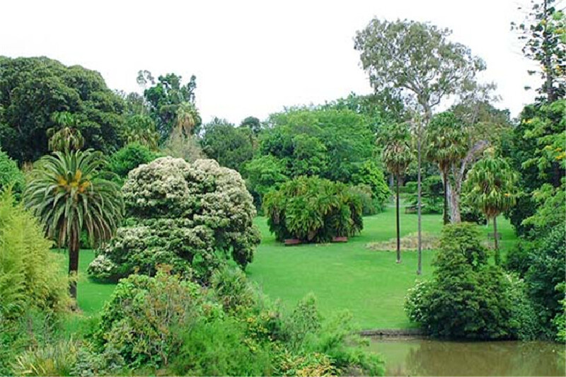 澳新凯墨南北岛15晚17日 (冰川+直升飞机+米佛