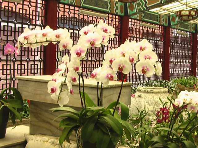 杭州--台湾5晚6天跟团游--春节预售 国父纪念馆