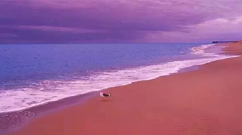 比海6国20天之行·巴拿马·巴哈马·墨西哥·