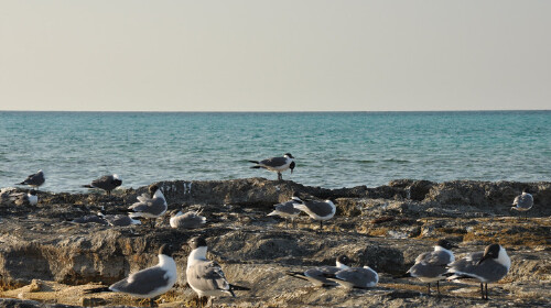 比海6国20天之行·巴拿马·巴哈马·墨西哥·