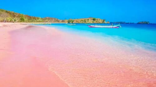 比海6国20天之行·巴拿马·巴哈马·墨西哥·