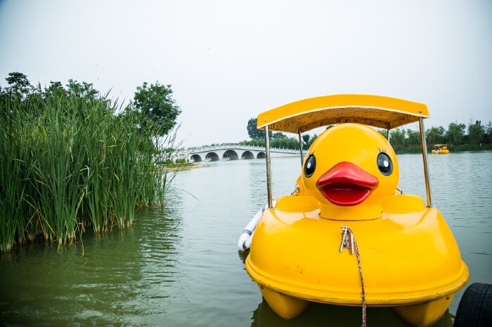 大黄鸭游船
