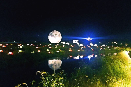 <华东5市-乌镇西栅5日游>纯玩0购物，宿品牌5星，夜宿乌镇，乌镇周庄双水乡，船游鼋头渚，当地游