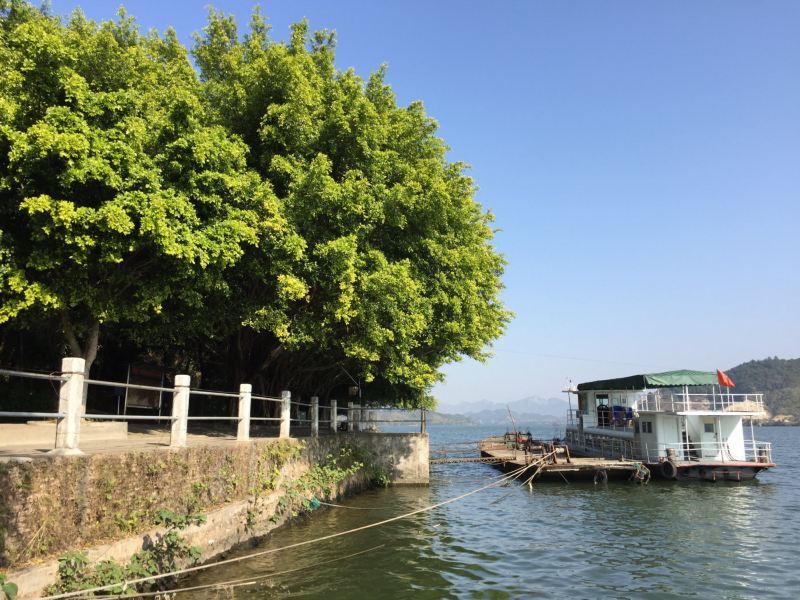 清远飞来岛度假村预订