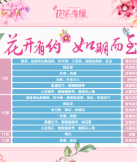 景点图片