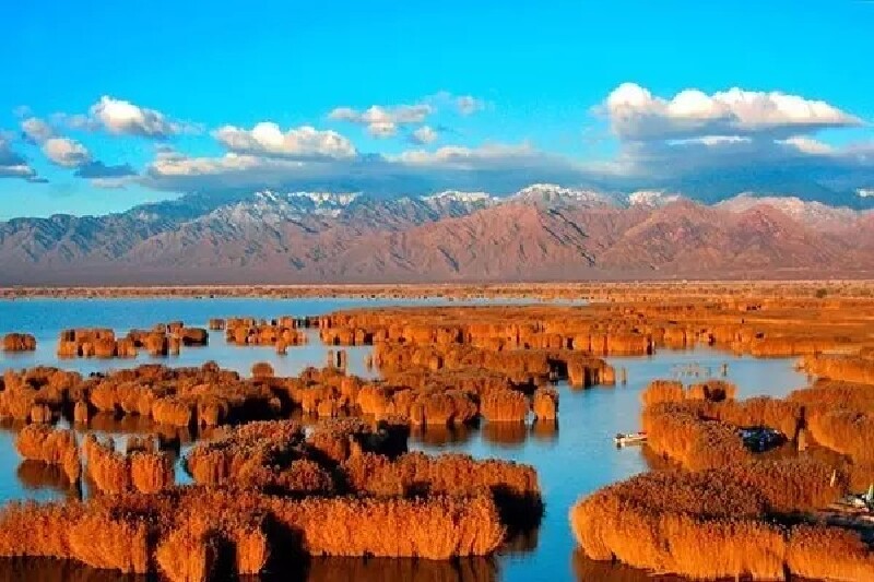 十一来宁夏旅游,看醉美秋天金色宁夏,绝对挑战你的视觉神经!
