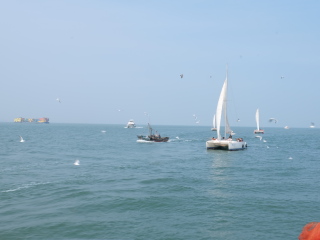 日照世帆赛基地