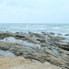 李家台赶海园
