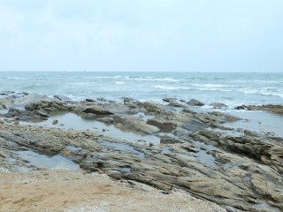 李家台赶海园