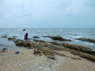 李家台赶海园